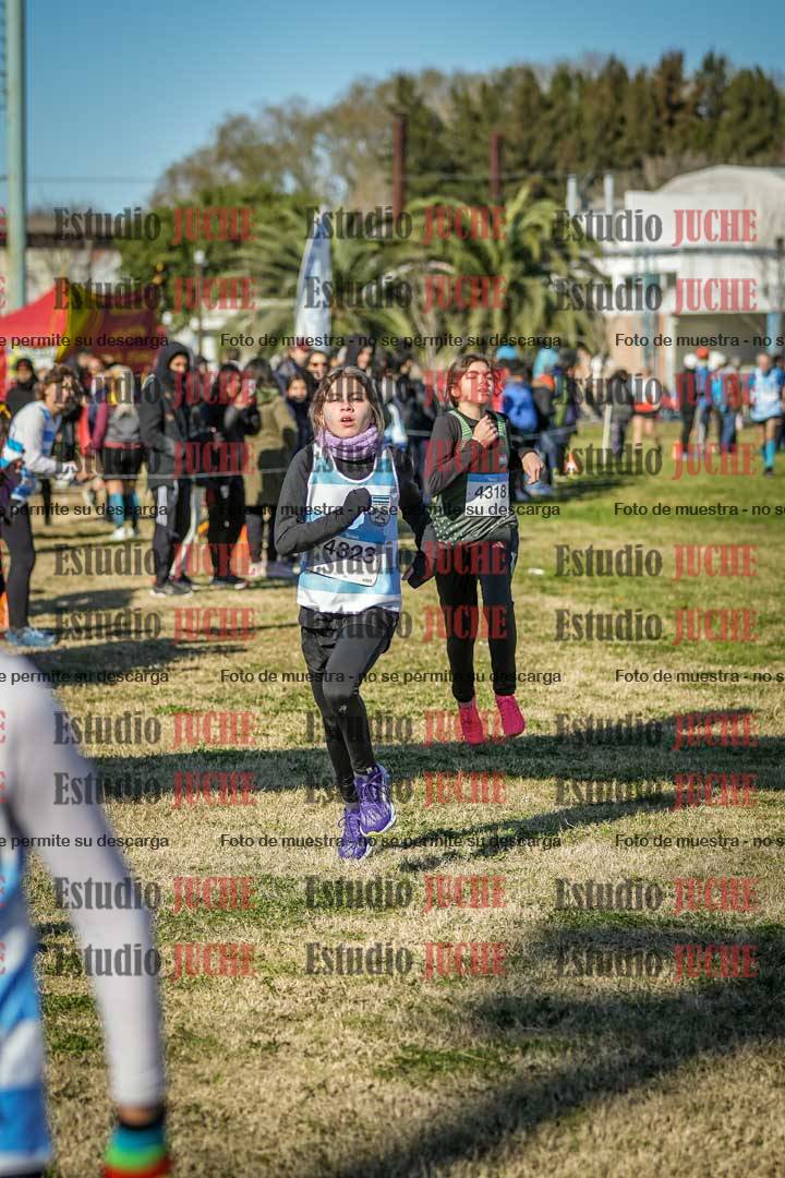 Fotos de las llegadas