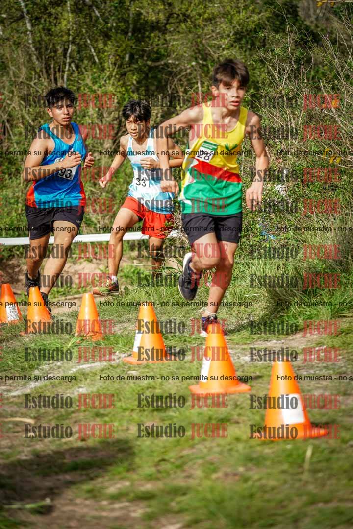 Fotos en el circuito