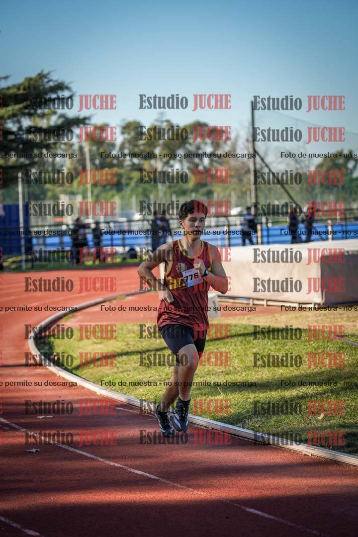Fotos de los 800 m llanos de varones
