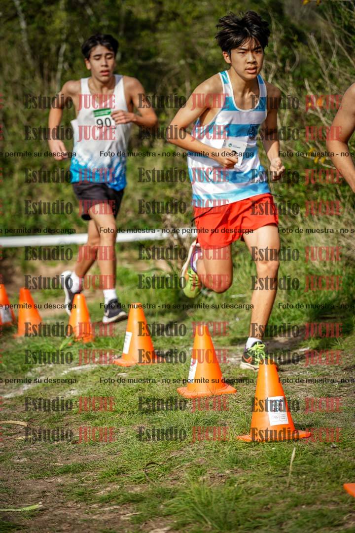 Fotos en el circuito