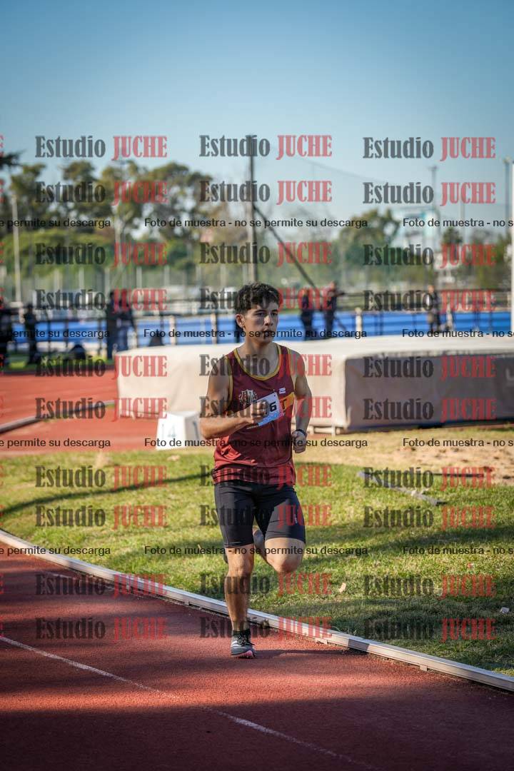 Fotos de los 800 m llanos de varones