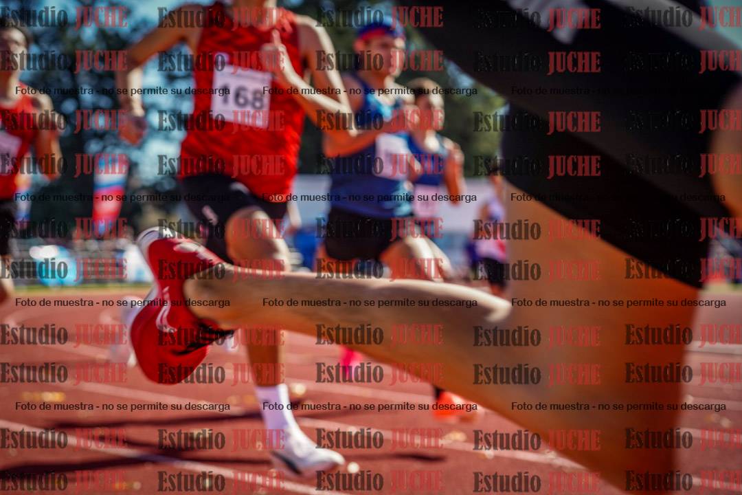 Fotos de los 800 m llanos de varones