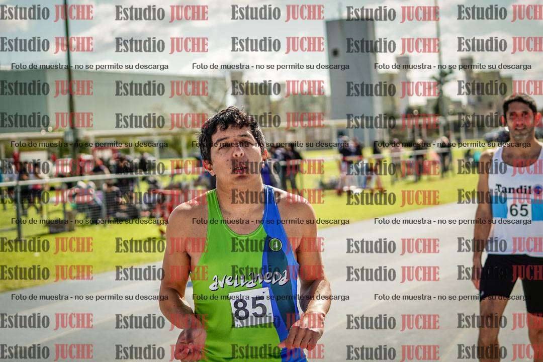 Fotos de los 800 m llanos de varones
