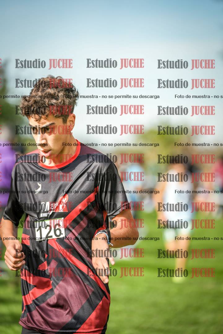 Fotos de la llegada del cross de 2000 m