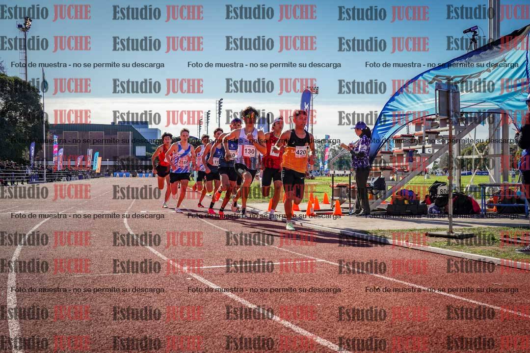 Fotos de los 800 m llanos de varones