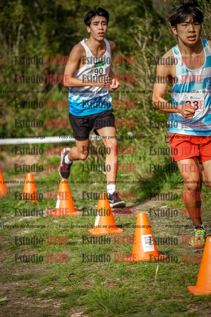 Fotos en el circuito