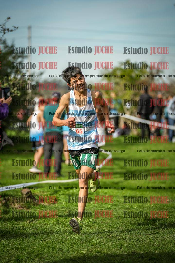 Fotos de la llegada del cross de 2000 m