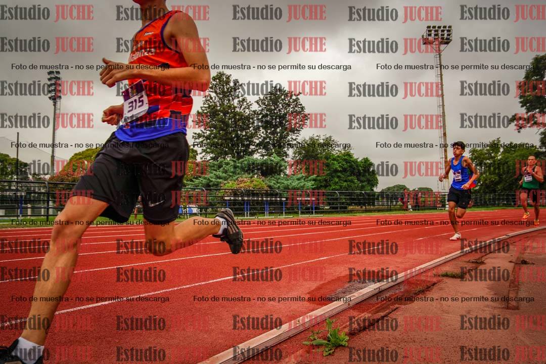 Fotos de los 800 m llanos de varones