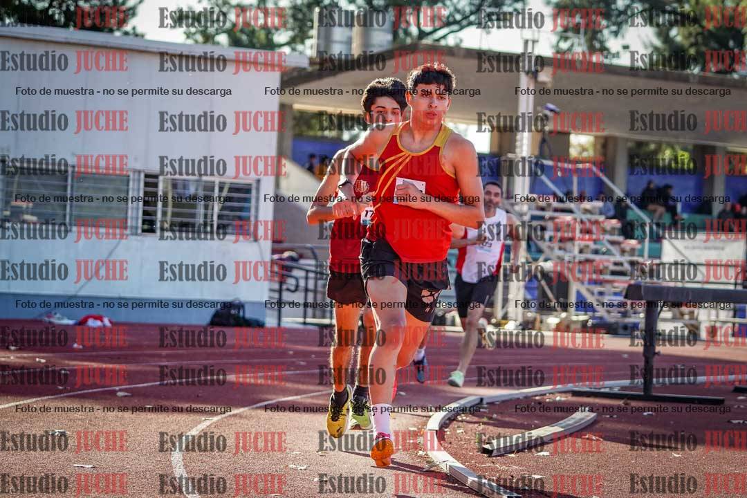 Fotos de los 800 m llanos de varones