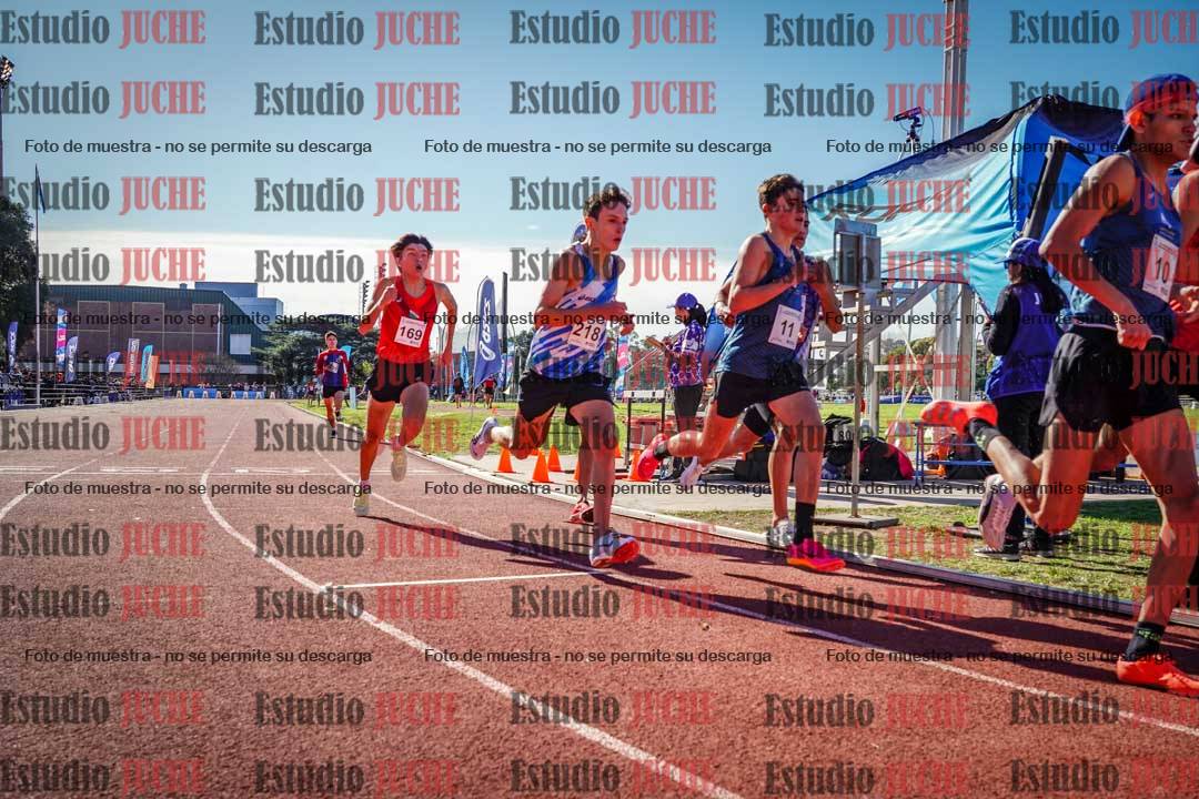 Fotos de los 800 m llanos de varones