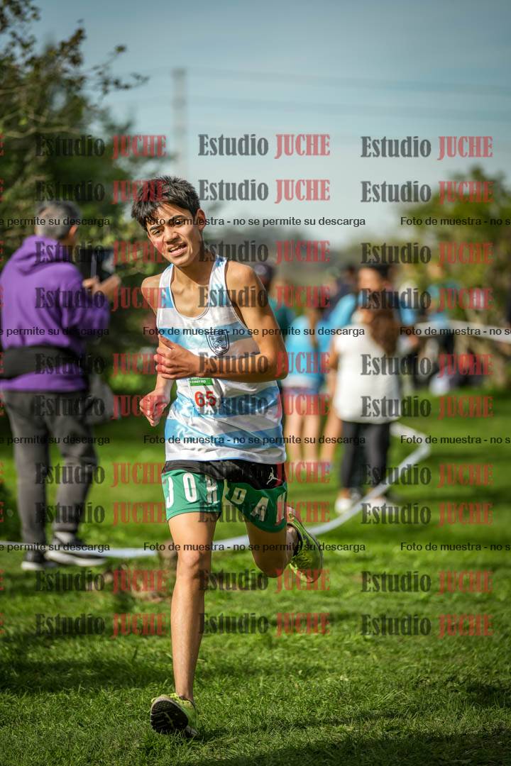 Fotos de la llegada del cross de 2000 m