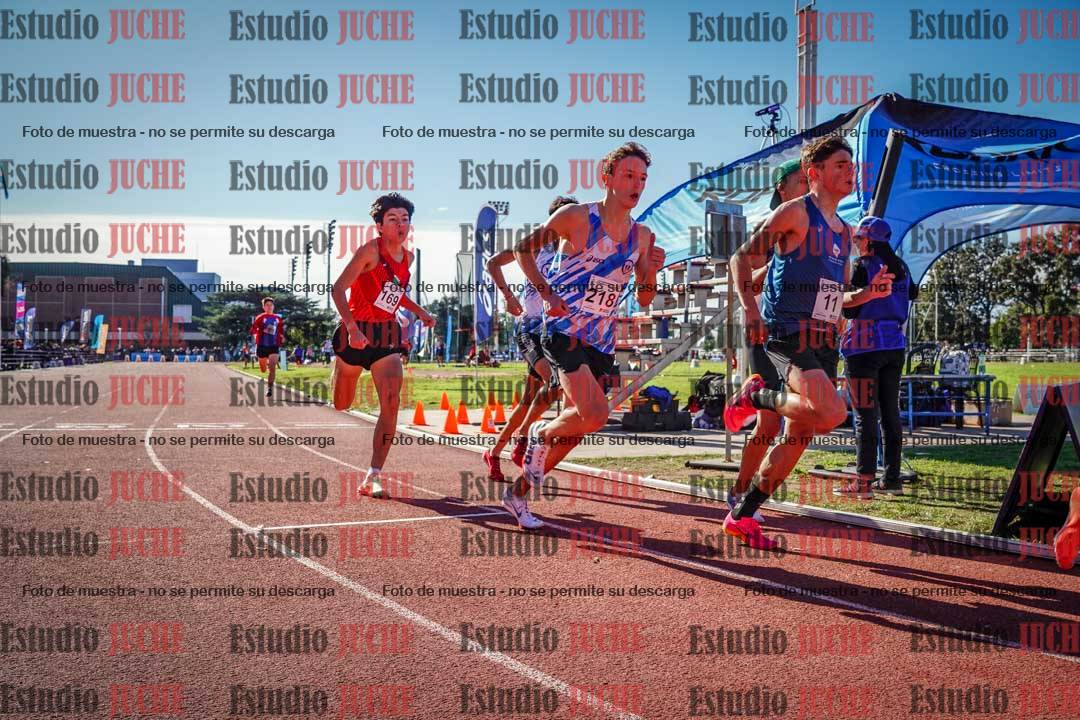 Fotos de los 800 m llanos de varones