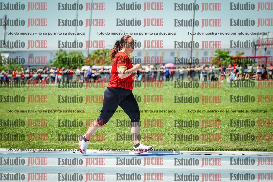 Fotos de los 800 m llanos de mujeres
