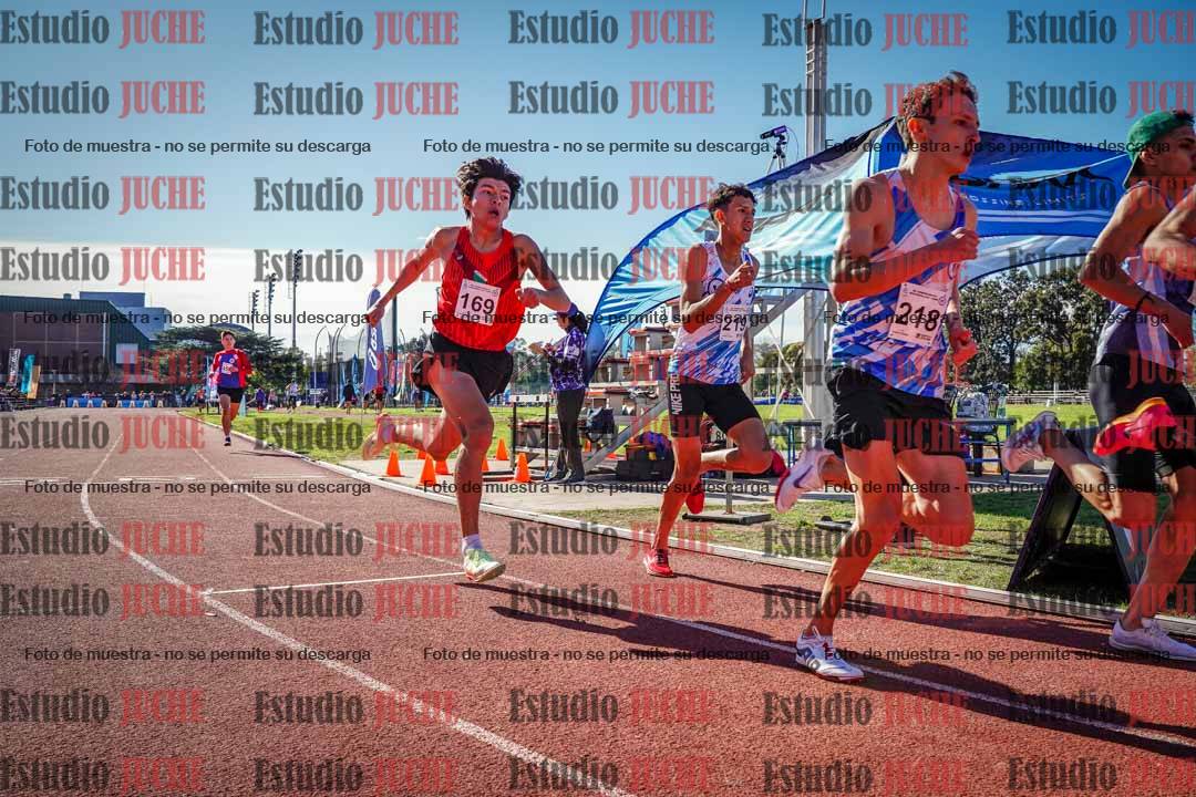 Fotos de los 800 m llanos de varones