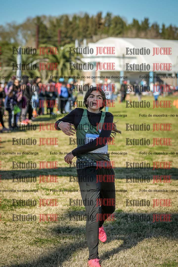 Fotos de las llegadas