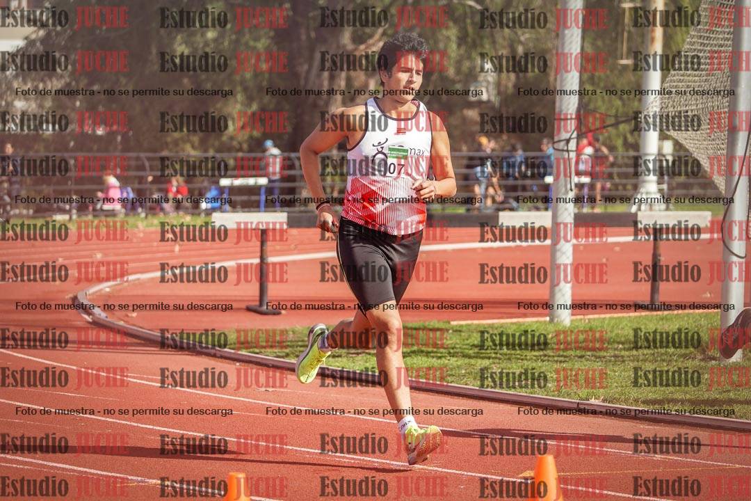 Fotos de los 800 m llanos de varones