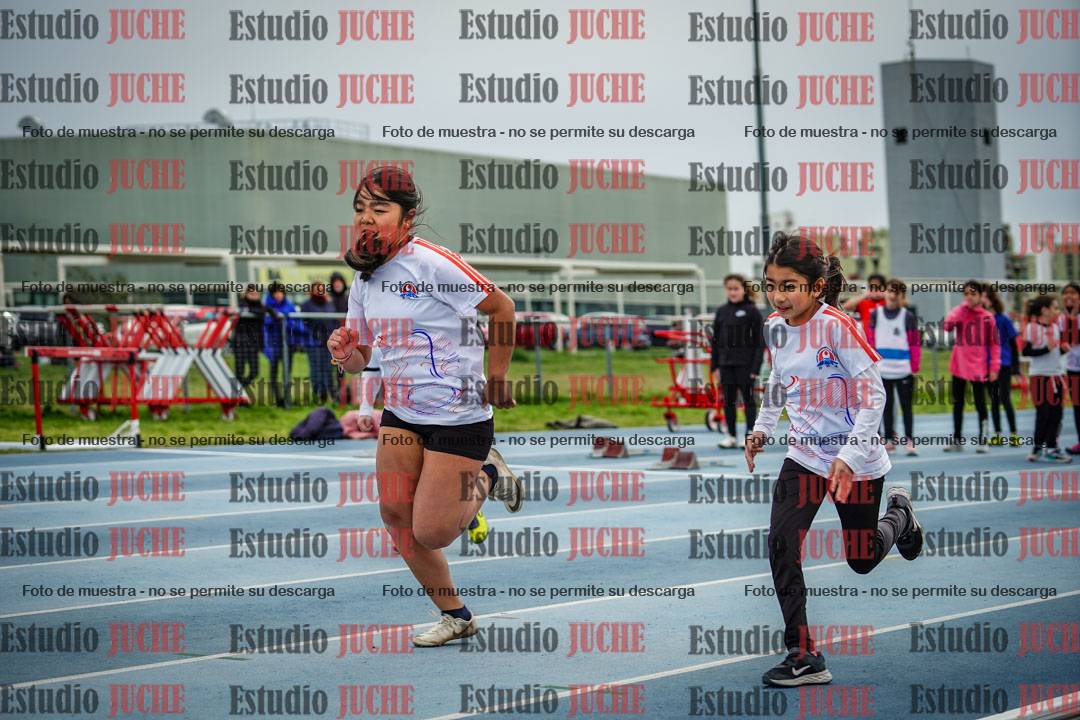 Fotos de los 50 m llanos de mujeres - U12