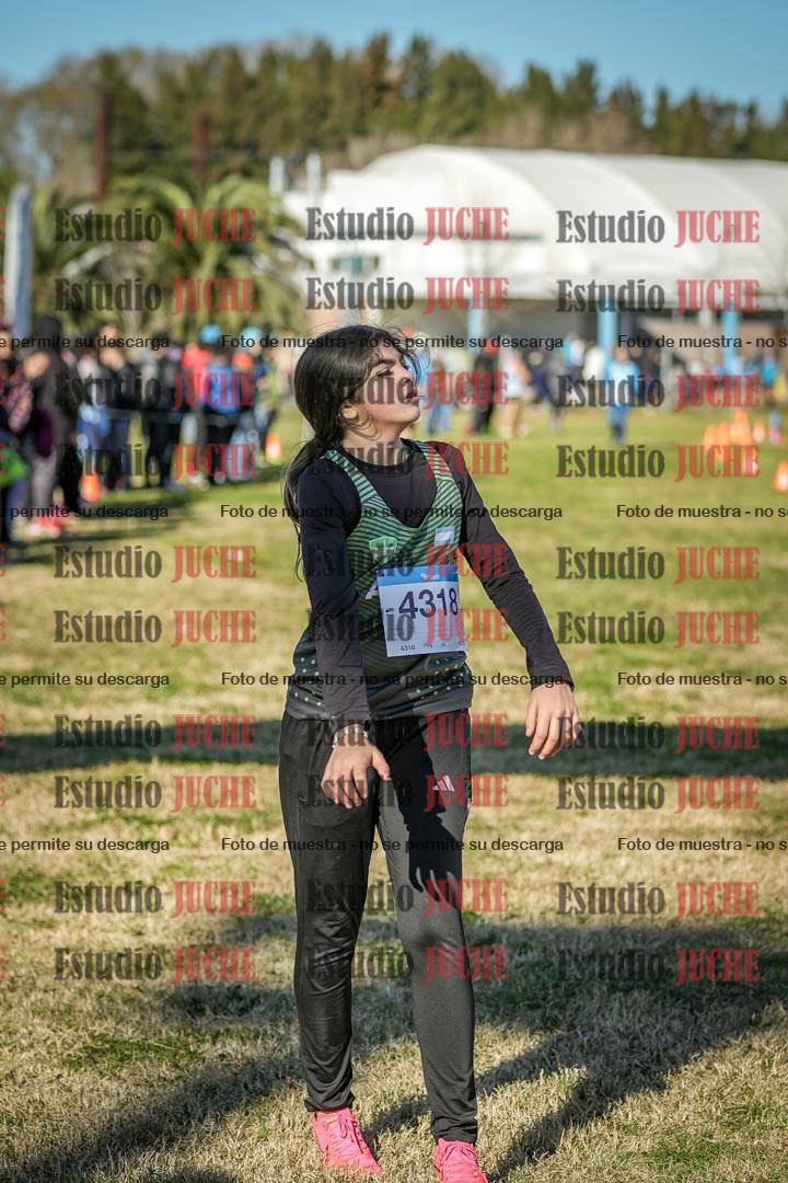 Fotos de las llegadas