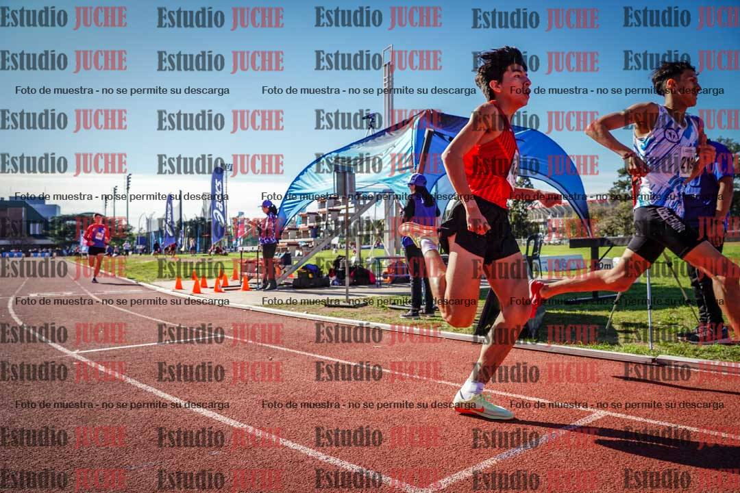 Fotos de los 800 m llanos de varones