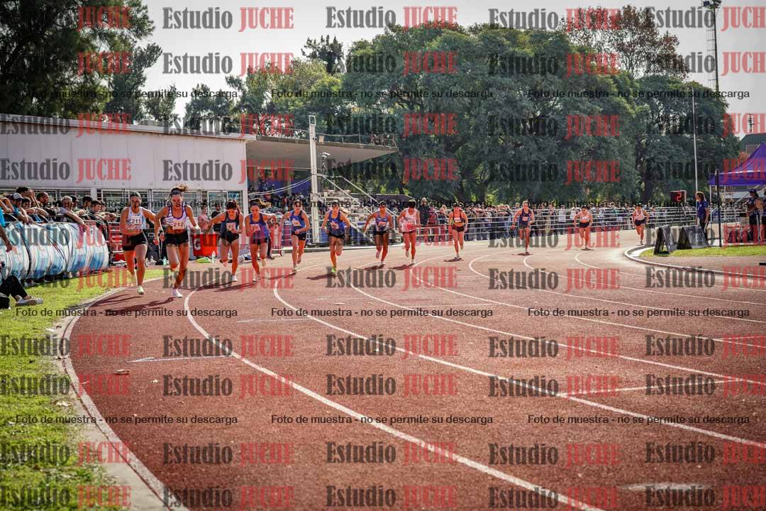 Fotos de los 800 m llanos de mujeres