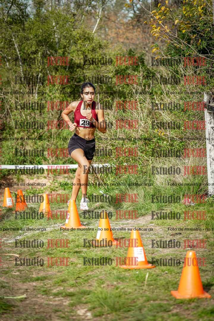 Fotos en el circuito