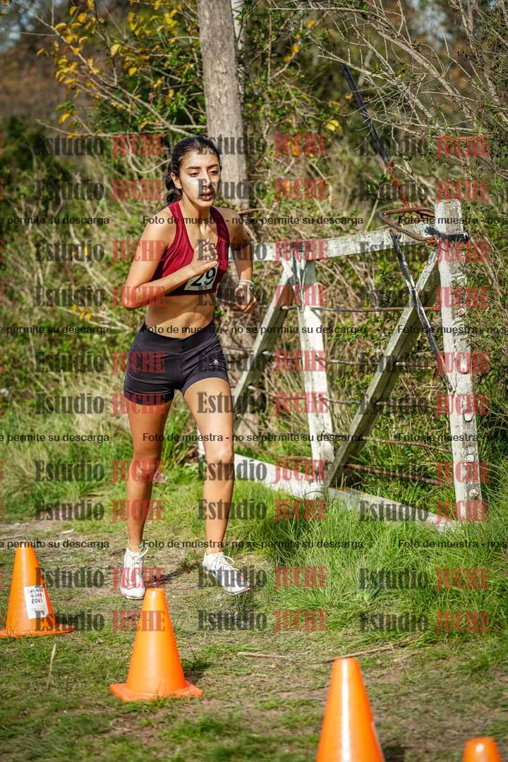Fotos en el circuito