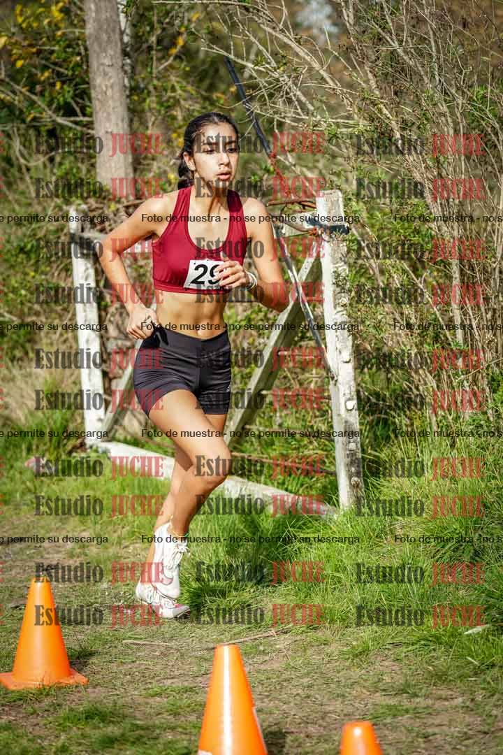 Fotos en el circuito