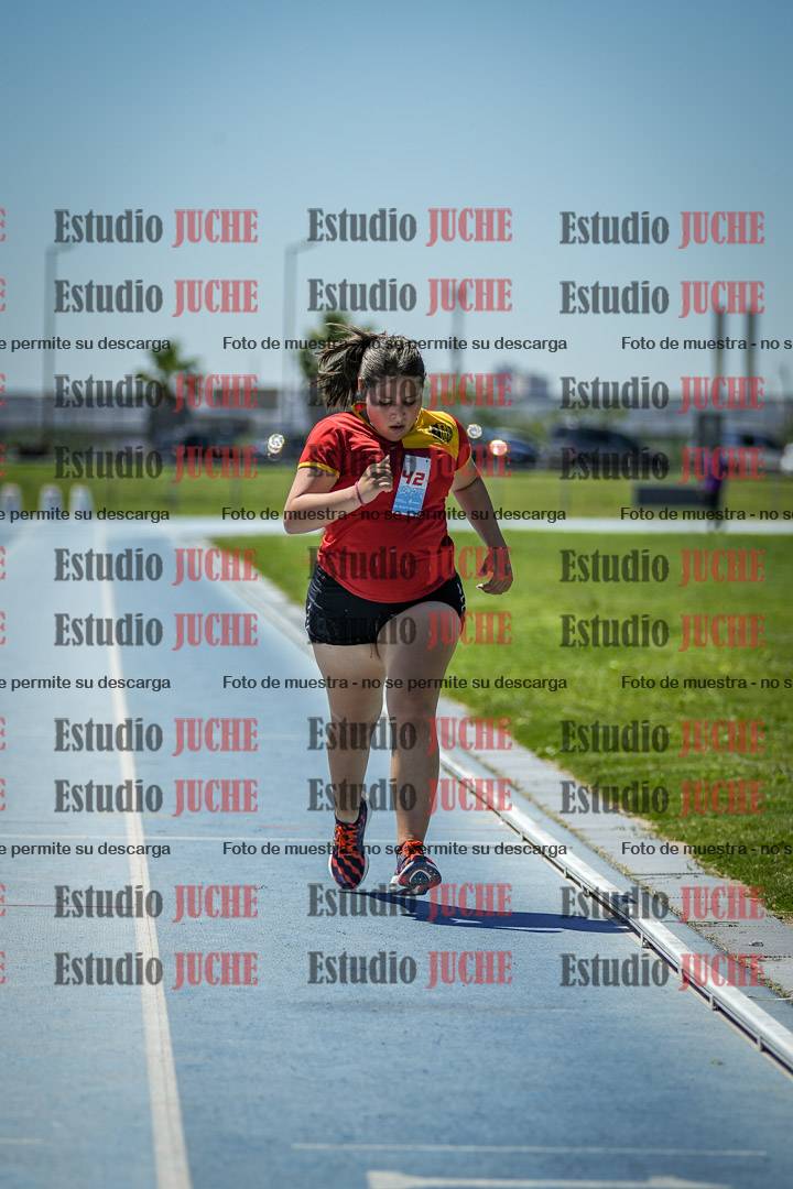 Fotos de los 800 m llanos de mujeres