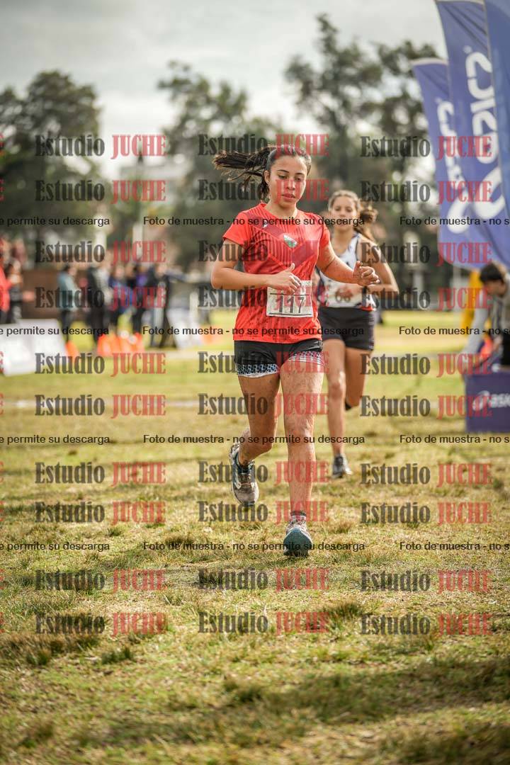 Fotos de la llegada