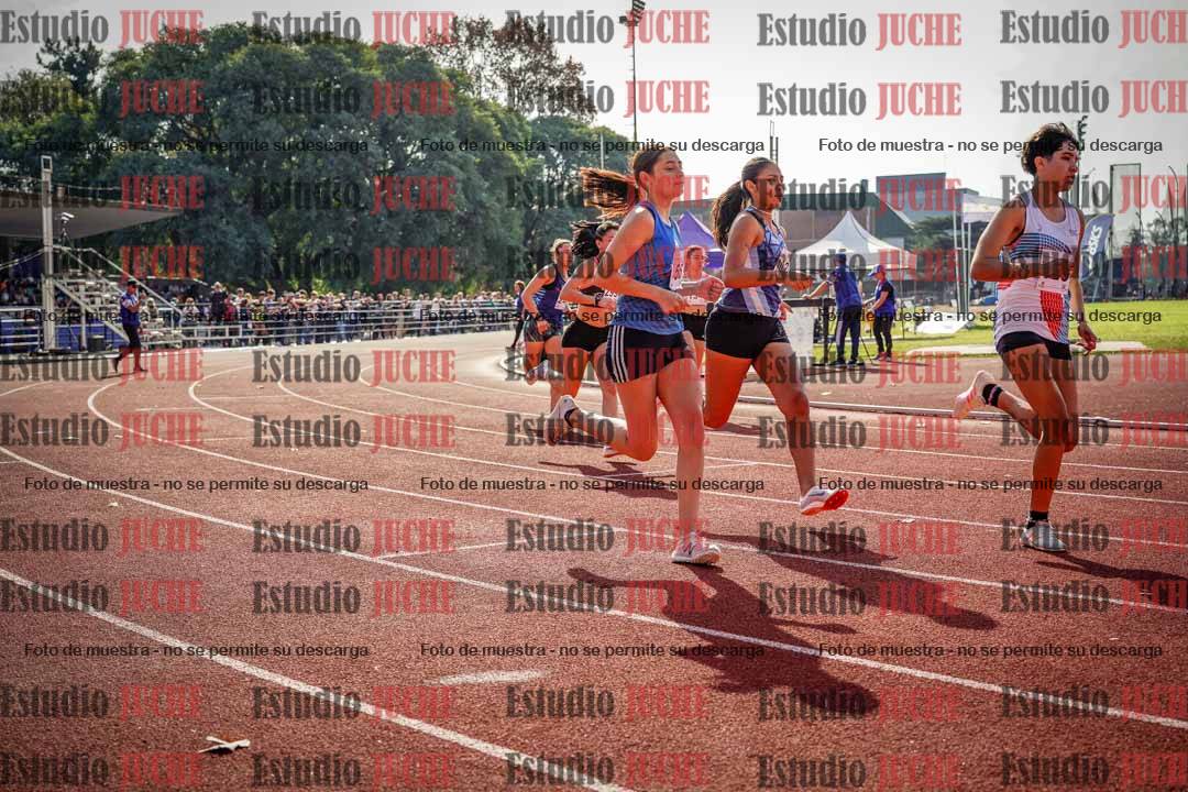 Fotos de los 800 m llanos de mujeres