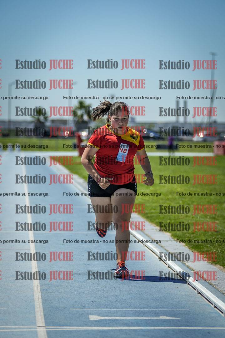 Fotos de los 800 m llanos de mujeres