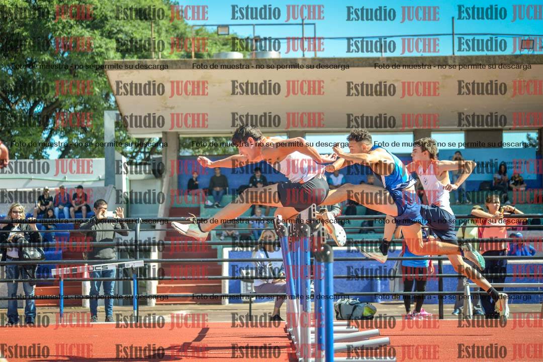 Fotos de los 100 m con vallas de varones