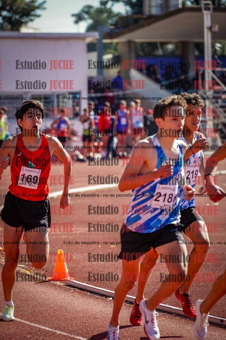 Fotos de los 800 m llanos de varones
