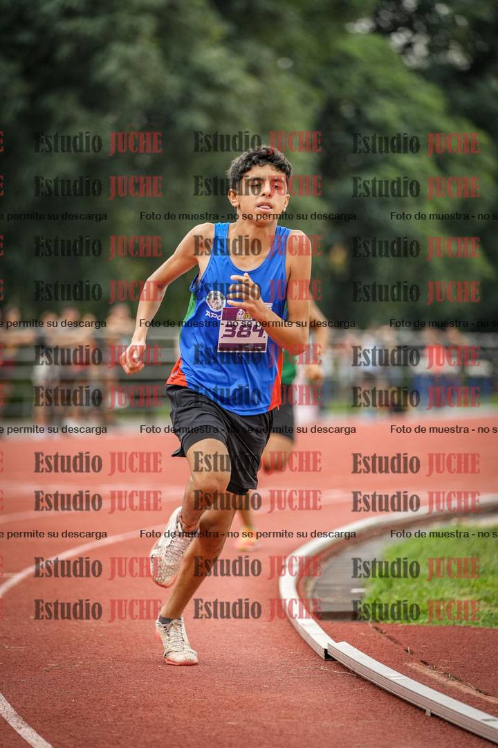 Fotos de los 800 m llanos de varones