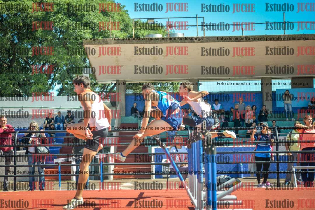 Fotos de los 100 m con vallas de varones