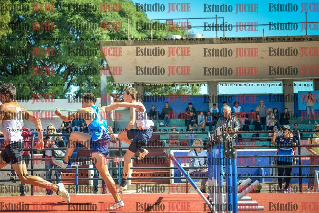 Fotos de los 100 m con vallas de varones
