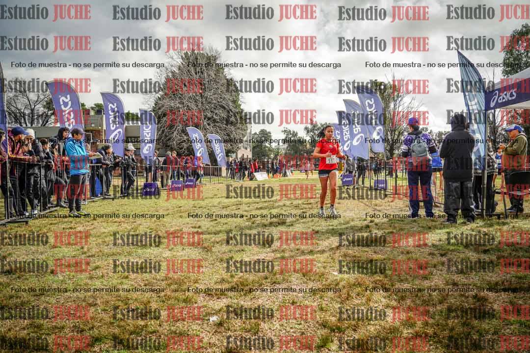 Fotos de la llegada