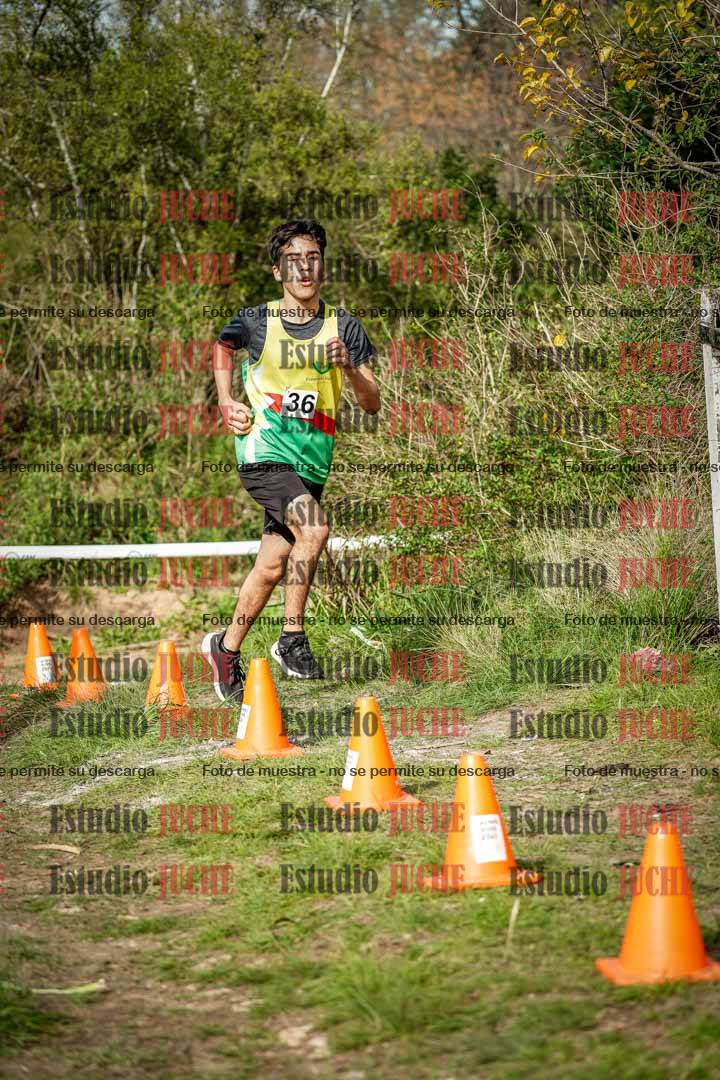 Fotos en el circuito