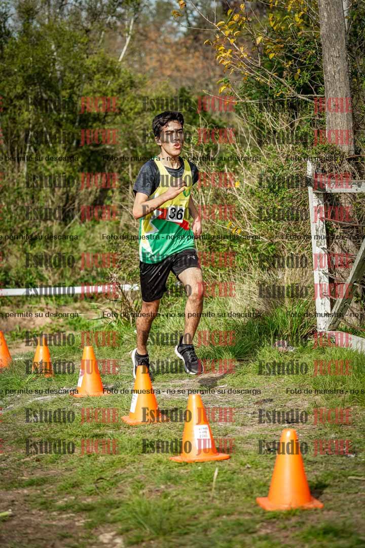 Fotos en el circuito