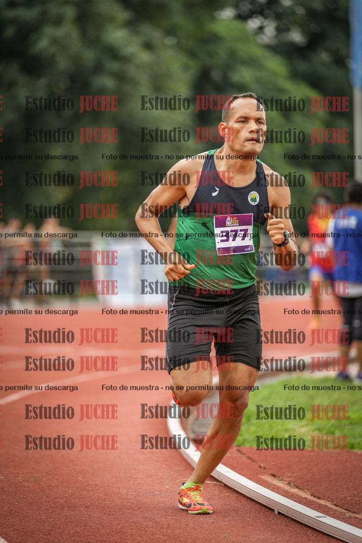 Fotos de los 800 m llanos de varones