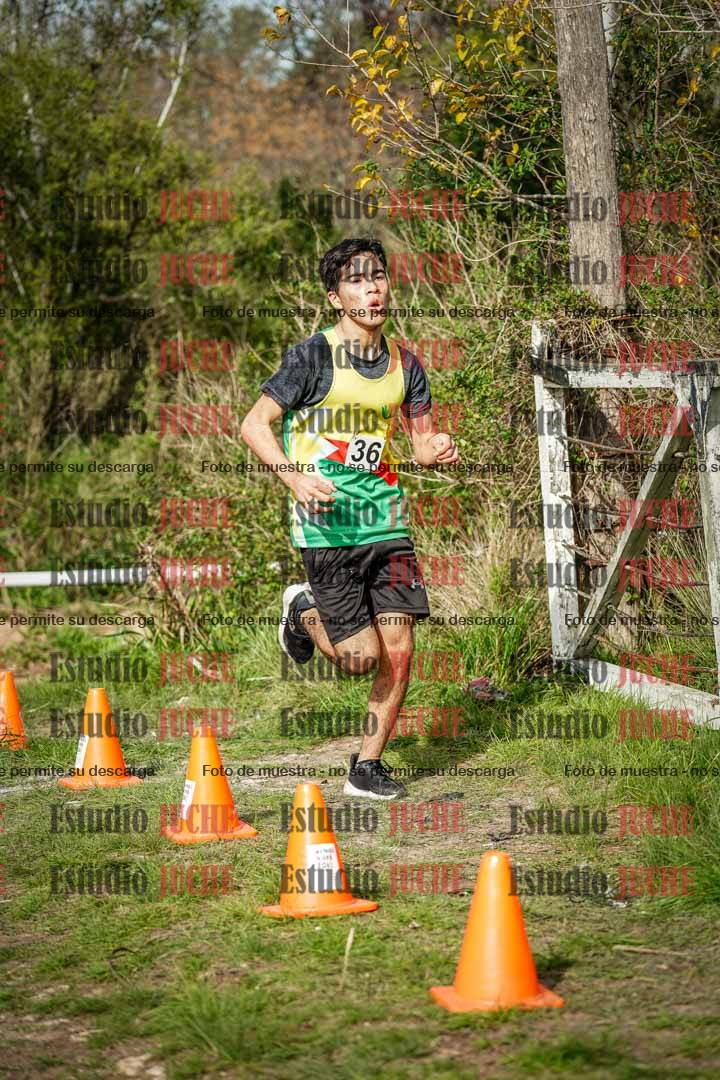 Fotos en el circuito