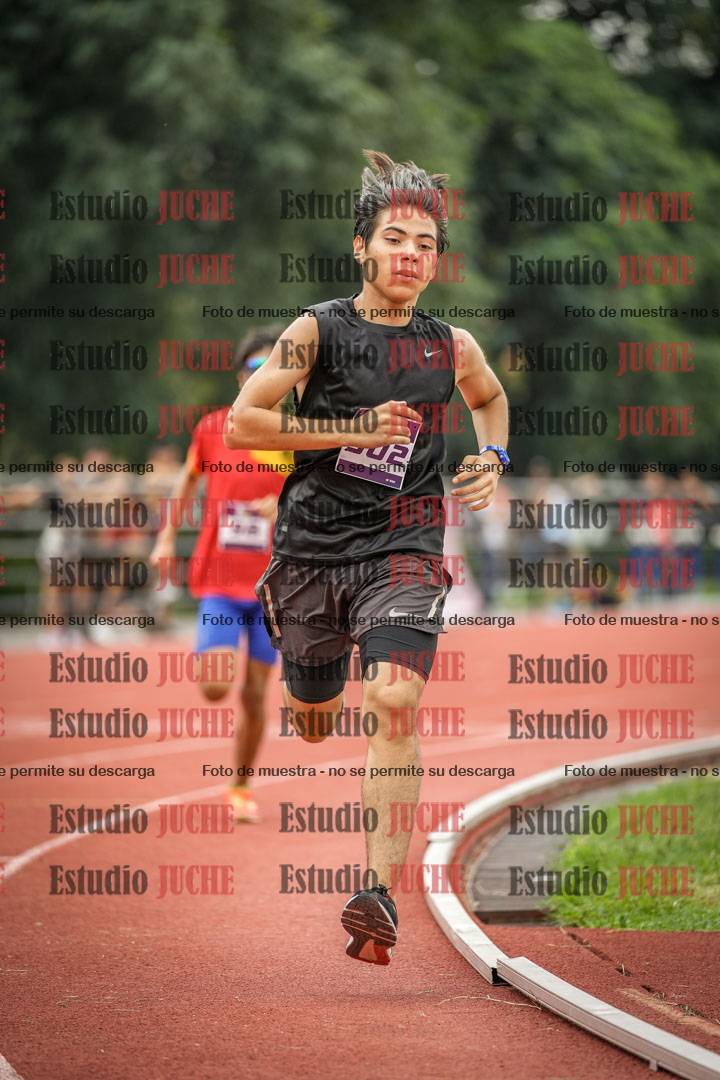 Fotos de los 800 m llanos de varones