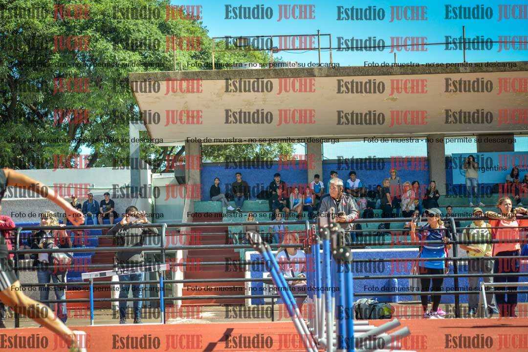 Fotos de los 100 m con vallas de varones