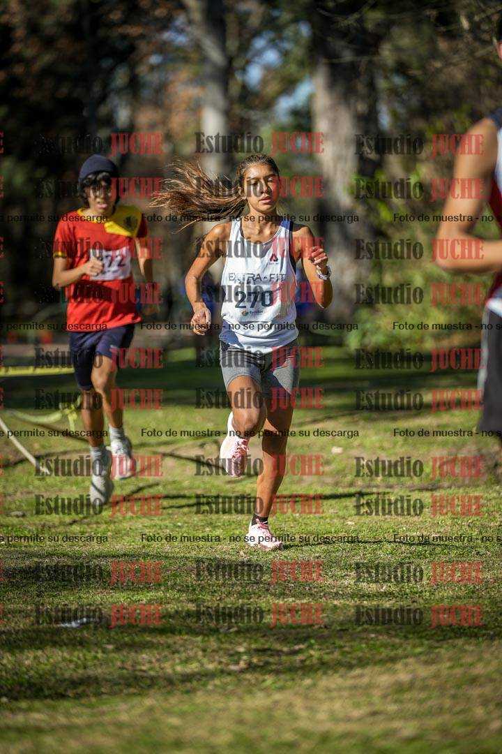Fotos en el tercer punto del circuito