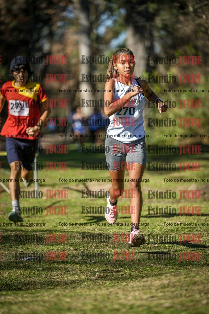 Fotos en el tercer punto del circuito
