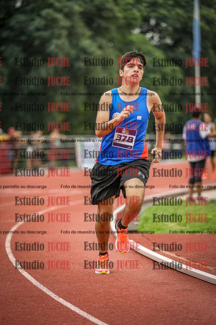 Fotos de los 800 m llanos de varones