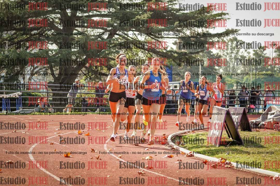 Fotos de los 800 m llanos de mujeres