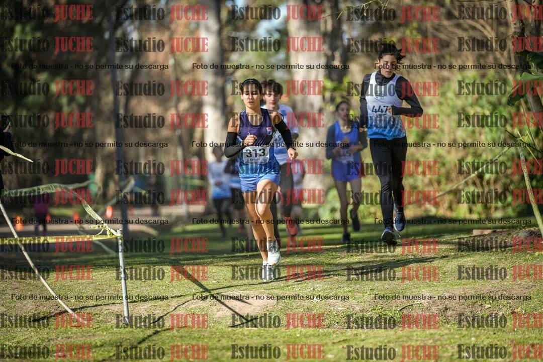 Fotos en el tercer punto del circuito