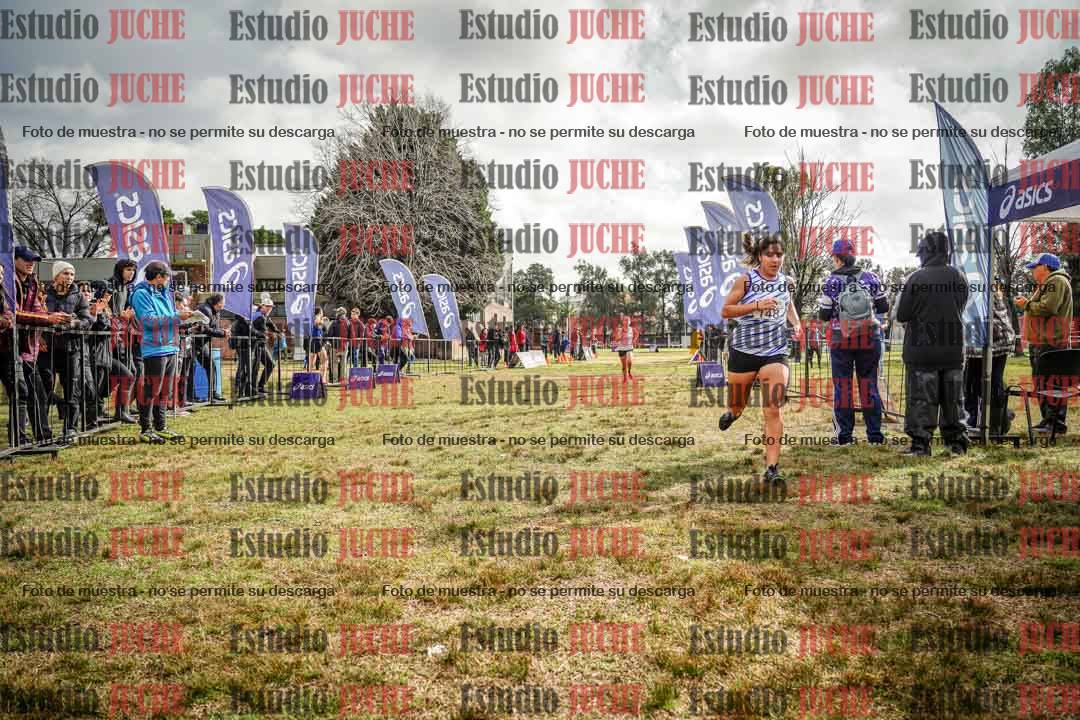 Fotos de la llegada