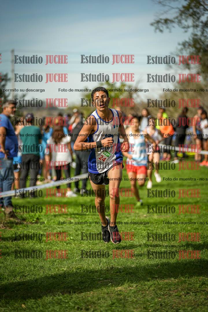 Fotos de la llegada del cross de 2000 m